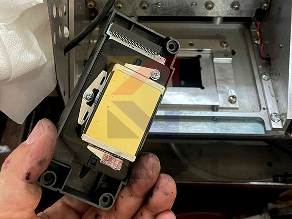 Top 3 đầu phun máy in Epson được đánh giá cao và ưa chuộng nhất