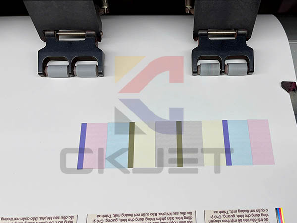 Cách sửa ngay máy in bị lỗi in ra toàn màu đen 6576