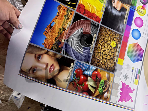 Máy in UV CK - JET 1902 UI - Đầu phun I3200 Chất Lượng Giá Tốt 546