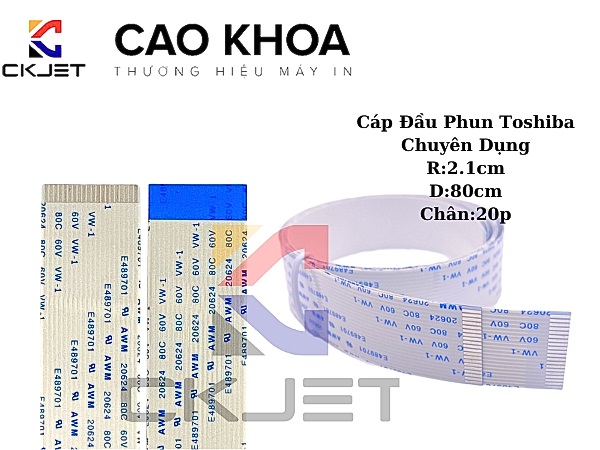 Cáp Đầu Phun Toshiba (D 80cm, R 2.1cm, Chân 20P) Cho Máy In